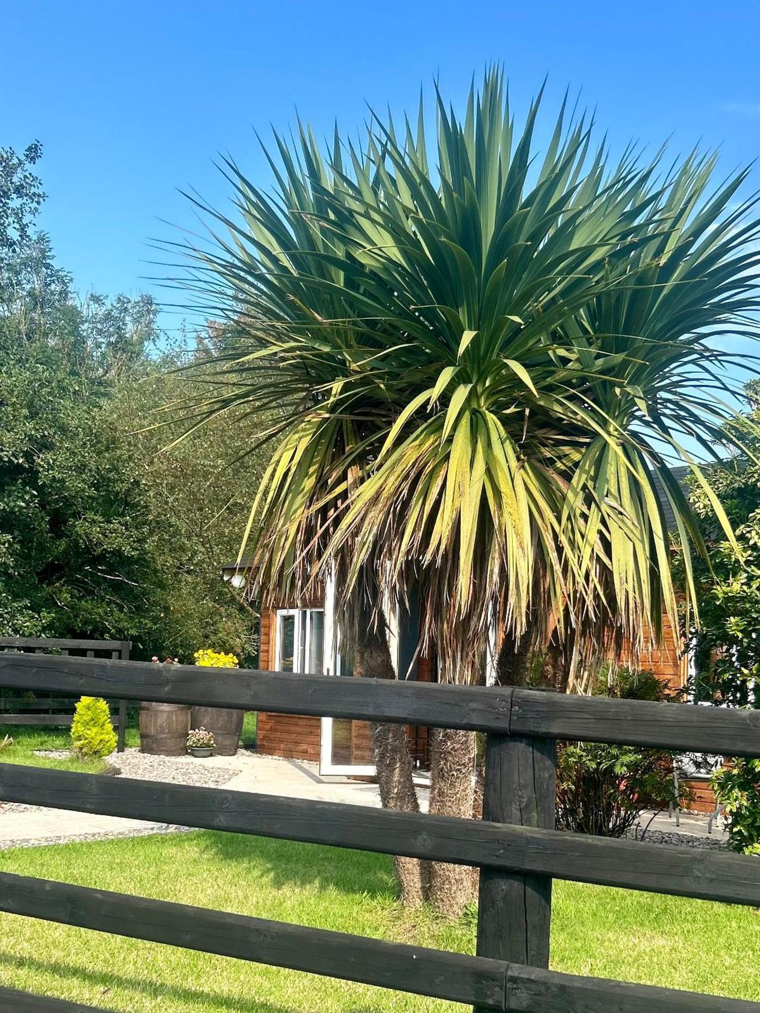 Omagh Villa Sixmilecross Екстериор снимка